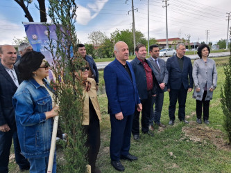 Mingəçevirdə “Şəhərsalma və Memarlıq İli” çərçivəsində ağacəkmə aksiyası keçirildi