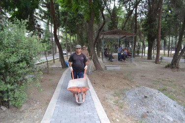 Yeni yaradılan xiyabana baxış keçirildi