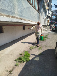 Mingəçevir Dezinfeksiya Stansiyasının əməkdaşları ilanlara qarşı profilaktik tədbirlər görmüşlər