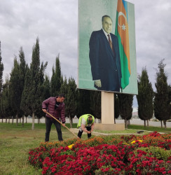 Oktyabrın 25 də Mingəçevir şəhərində ağacəkmə aksiyası davam etdirildi