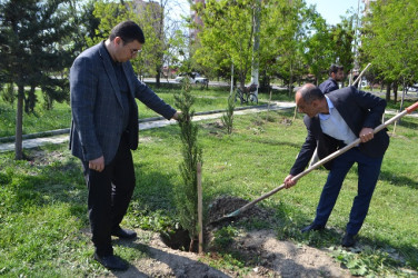 Aprel ayının 18 də “Yaşıl dünya naminə həmrəylik İli” çərçivəsində Ağacəkmə aksiyası keçirildi