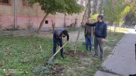 Mingəçevir şəhərinin 75 illik yubleyi münasibəti ilə ümumşəhər iməciliyi keçirildi