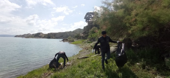 Mingəçevirdə “Təmiz Ölkəm” adlı iməclik aksiyası keçirilmişdir.