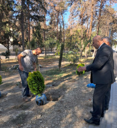 Oktyabrın 27 də Mingəçevir şəhərində ağacəkmə aksiyası davam etdirildi