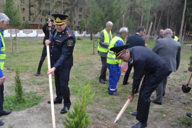 ANIM GÜNÜ mingəçevirlilər şəhidlərin məzarlarını ziyarət etdilər