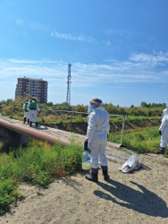 Mingəçevir Şəhər İcra Hakimiyyətlərinin təşkilatçılığı ilə dezinfeksiya tədbirləri keçirilib.