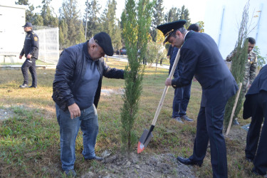 8 Noyabr Zəfər Günü münasibəti ilə Mingəçevir şəhər İcra Hakimiyyətinin təşkilatçılığı ilə sislsilə tədbirlər keçirilib..İlk olaraq "Zəfər parkı" ziyarət olundu. Ağac əkildi.