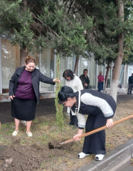 Oktyabrın 24 də Mingəçevir şəhərində ağacəkmə aksiyası davam etdirilib