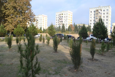 Energetiklər yaşayış massivində həyata keçirilən quruculuq işlərinə baxış keçirildi