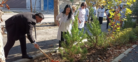 Oktyabr ayının 22-də Mingəçevir şəhərində ağacəkmə aksiyası davam etdirilib.