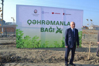 Şəhidlərin xatirəsinə ağacəkmə aksiyası keçirilib