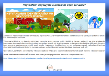 Mingəçevirdə heyvanların identifikasiyası ilə bağlı maarifləndirici görüşlər keçirilib.