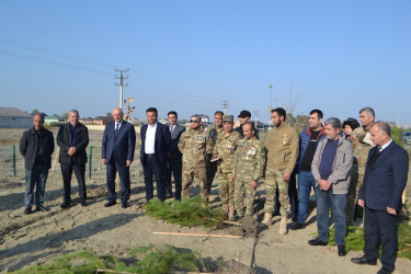 Şəhidlərin xatirəsinə ağacəkmə aksiyası keçirilib