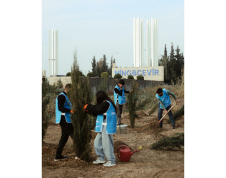 Leyla Əliyeva Mingəçevirdə ekoloji aksiyalarda iştirak edib