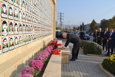 8 Noyabr Zəfər Günü münasibəti ilə Mingəçevir şəhər İcra Hakimiyyətinin təşkilatçılığı ilə sislsilə tədbirlər keçirilib..İlk olaraq "Zəfər parkı" ziyarət olundu. Ağac əkildi.