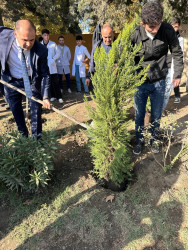 Oktyabr ayının 22-də Mingəçevir şəhərində ağacəkmə aksiyası davam etdirilib.