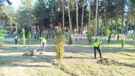 Mingəçevir şəhərində "Anım Günü" ilə bağlı təmizlik işləri aparılmışdır.