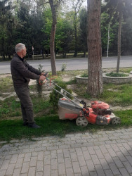 Mingəçevir şəhər İcra Hakimiyyətinin  "Konstitusiya və Suverenlik" ili ilə əlaqədar tərtib etdiyi Tədbirlər planına əsasən Yaşıllaşdırma və Sanitar Təmizlik İdarəsi ağac əkmə aksiyası keçirdi.