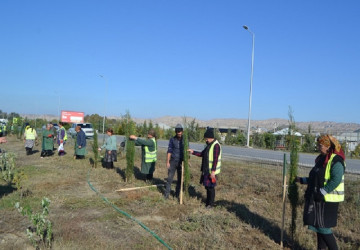 Oktyabrın 24 də Mingəçevir şəhərində ağacəkmə aksiyası davam etdirilib