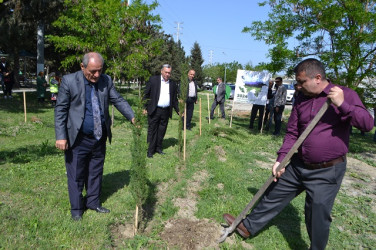 Aprel ayının 18 də “Yaşıl dünya naminə həmrəylik İli” çərçivəsində Ağacəkmə aksiyası keçirildi