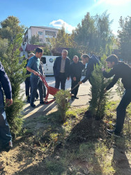 Oktyabr ayının 22-də Mingəçevir şəhərində ağacəkmə aksiyası davam etdirilib.