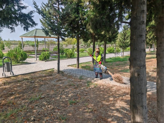 Mingəçevir şəhərində III MDB oyunlarına hazırlıq işləri görülür