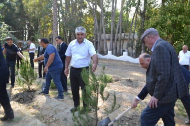 Mingəçevir şəhərində 27 sentyabr Anım günü münasibəti ilə şəhidlərin xatirəsinə ehtiram əlaməti olaraq ağacəkmə aksiyası keçirilmişdir.