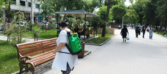Mingəçevir Şəhər İcra Hakimiyyətlərinin təşkilatçılığı ilə dezinfeksiya tədbirləri keçirilib.