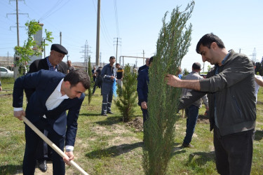 Aprelin 26-da Mingəçevir şəhər İcra Hakimiyyətinin  təşkilatçılığı ilə “Konstitusiya və Suverenlik ili” münasibəti ilə ağacəkmə aksiyası keçirilib.