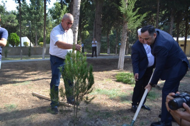 Mingəçevir şəhərində 27 sentyabr Anım günü münasibəti ilə şəhidlərin xatirəsinə ehtiram əlaməti olaraq ağacəkmə aksiyası keçirilmişdir.