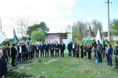 YAP Mingəçevir şəhər təşkilatında “Şəhərsalma və Memarlıq İli”nə həsr olunmuş tədbir keçirilib.