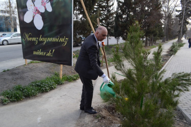 Mingəçevirdə Maliyyə Şöbəsinin işçiləri ağac əkmə aksiyası keçirib.