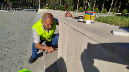 Mingəçevir şəhərində "Anım Günü" ilə bağlı təmizlik işləri aparılmışdır.