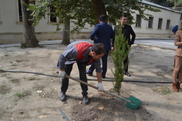 Mingəçevir Mərkəzi xəstəxanasının əməkdaşları   “Yaşıl dünya naminə həmrəylik ili” çərçivəsində aksiya keçirilib.