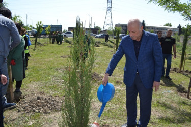 Aprelin 26-da Mingəçevir şəhər İcra Hakimiyyətinin  təşkilatçılığı ilə “Konstitusiya və Suverenlik ili” münasibəti ilə ağacəkmə aksiyası keçirilib.