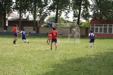 Mingəçevir Turizm Kollecində “2025-ci ilin Konstitusiya və Suverenlik ili” elan edilməsi ilə bağlı tədbirlər planı çərçivəsində futbol və voleybol idman növləri üzrə yarışlar keçirilib.