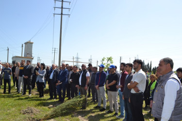 Aprelin 26-da Mingəçevir şəhər İcra Hakimiyyətinin  təşkilatçılığı ilə “Konstitusiya və Suverenlik ili” münasibəti ilə ağacəkmə aksiyası keçirilib.