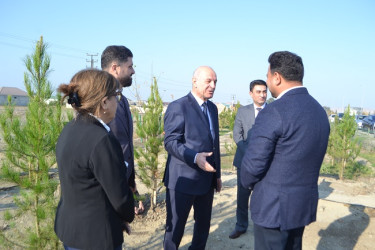 Şəhidlərin xatirəsinə ağacəkmə aksiyası keçirilib