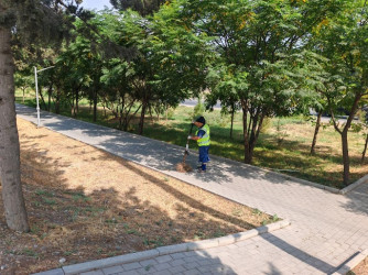 Mingəçevir şəhərində III MDB oyunlarına hazırlıq işləri görülür