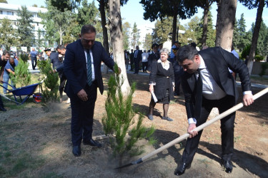 Mingəçevir şəhərində 27 sentyabr Anım günü münasibəti ilə şəhidlərin xatirəsinə ehtiram əlaməti olaraq ağacəkmə aksiyası keçirilmişdir.