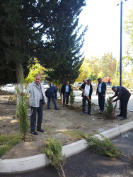 Oktyabrın 24 də Mingəçevir şəhərində ağacəkmə aksiyası davam etdirilib