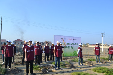 Şəhidlərin xatirəsinə ağacəkmə aksiyası keçirilib