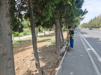 Mingəçevir şəhərində III MDB oyunlarına hazırlıq işləri görülür