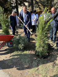 Oktyabr ayının 22-də Mingəçevir şəhərində ağacəkmə aksiyası davam etdirilib.