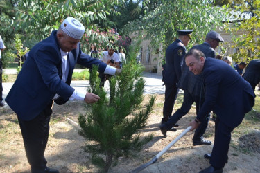Mingəçevir şəhərində 27 sentyabr Anım günü münasibəti ilə şəhidlərin xatirəsinə ehtiram əlaməti olaraq ağacəkmə aksiyası keçirilmişdir.