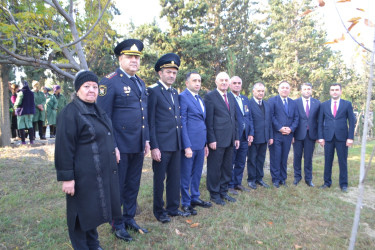 8 Noyabr Zəfər Günü münasibəti ilə Mingəçevir şəhər İcra Hakimiyyətinin təşkilatçılığı ilə sislsilə tədbirlər keçirilib..İlk olaraq "Zəfər parkı" ziyarət olundu. Ağac əkildi.