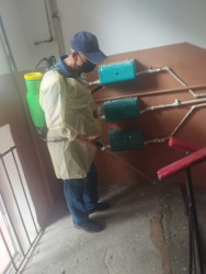 Mingəçevir Dezinfeksiya Stansiyasının əməkdaşları şəhər ərazisində profilaktik tədbirlər həyata keçirir