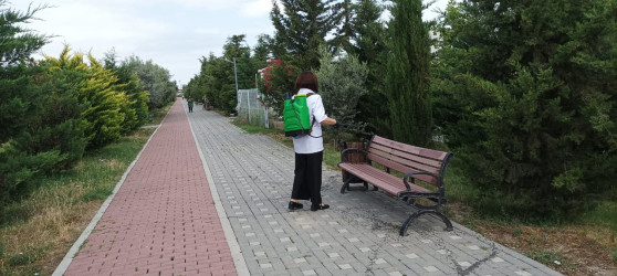 Mingəçevir şəhər GEM və Dezinfeksiya Stansiyasının əməkdaşları tərəfindən şəhərin  müxtəlif ərazilərdə dezinseksiya işləri aparılıb