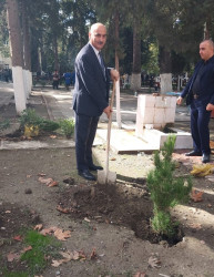 Oktyabr ayının 23-də Mingəçevir şəhərində ağacəkmə aksiyası davam etdirilib.