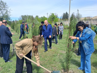 Mingəçevirdə “Şəhərsalma və Memarlıq İli” çərçivəsində ağacəkmə aksiyası keçirildi